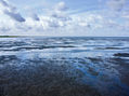 Watenmeer