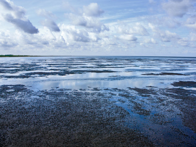 Watenmeer Naturaleza Color (Digital)