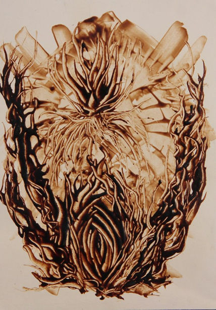 Organia 1º 29x42