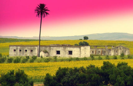 Paisaje en rosa