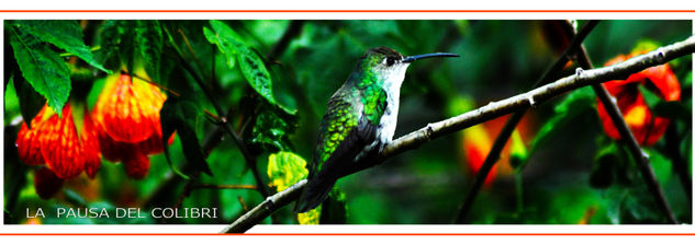 La Pausa del Colibri Naturaleza Técnicas alternativas