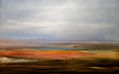 EL SOL ENTRE RAICES ARIDAS 5