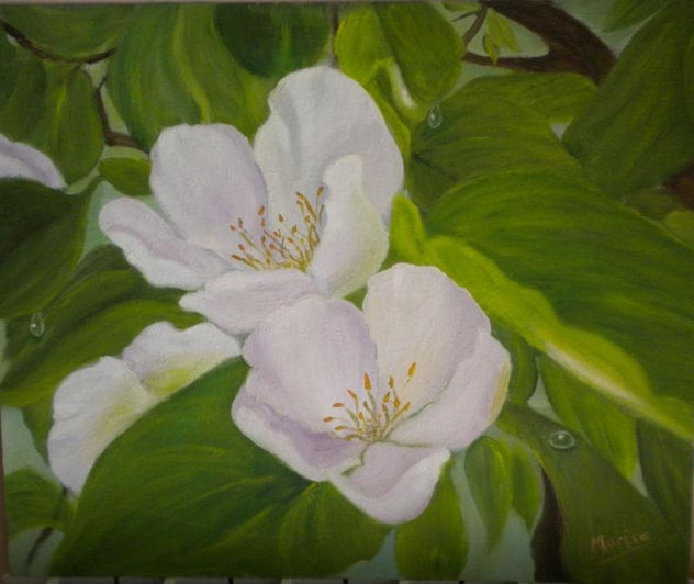 FLOR DEL MEMBRILLO