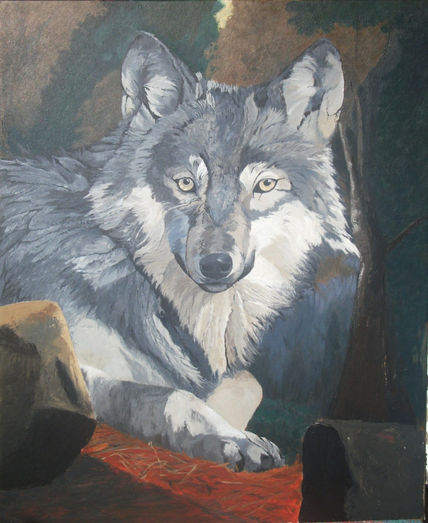 O lobo