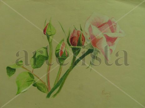 Rosas