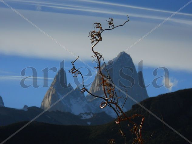 El Chalten Nature Color (Digital)