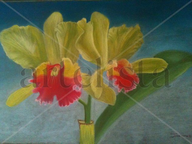 Orquideas Pastel Papel Paisaje