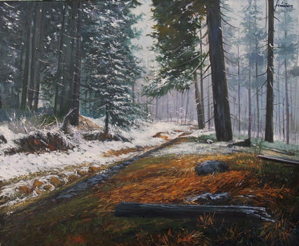 Paisaje nevado