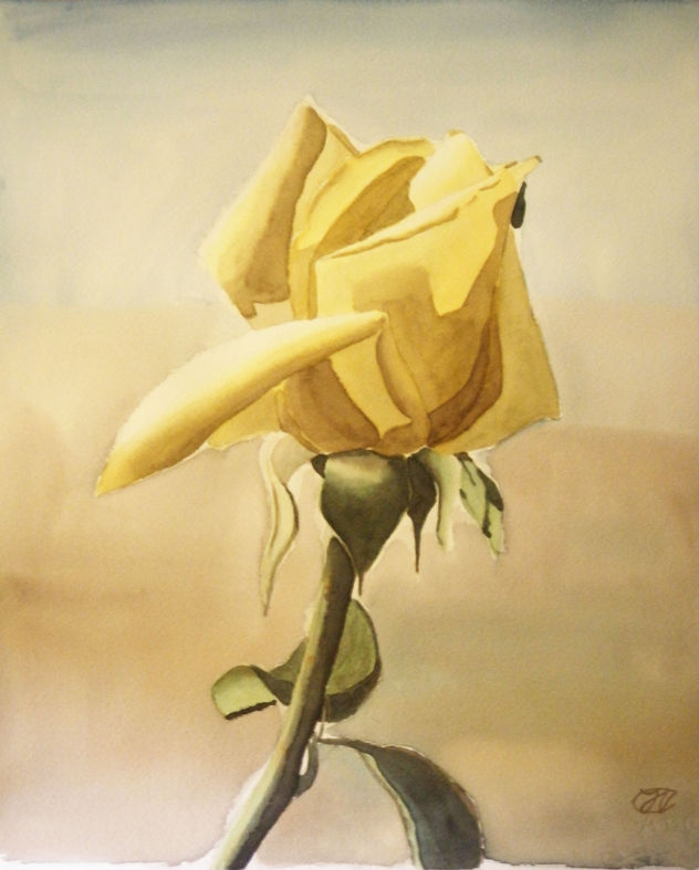 Rosa amarilla iluminada