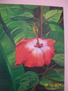 flor de san joaquin