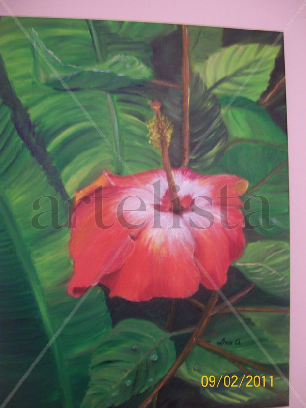 flor de san joaquin