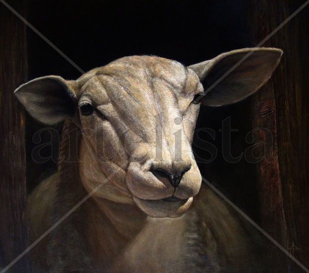 Mirandote Oil Canvas Animals