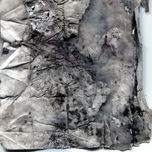 Homoculi thumbnail 1