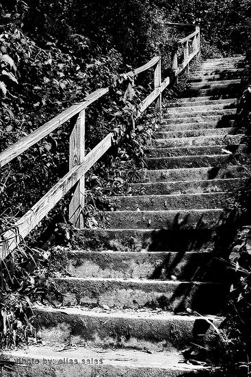 Escalera Arquitectura e interiorismo Blanco y Negro (Digital)