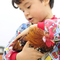obra