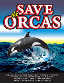 Orca's Poster