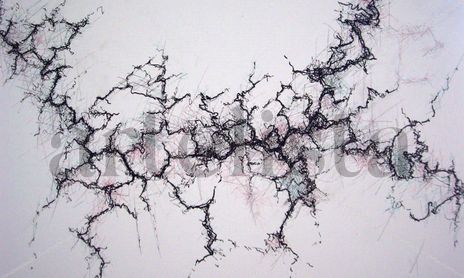 Varios