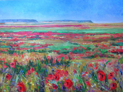 Campos de Castilla