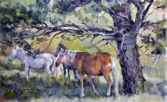 Caballos (Sierra Faladoira) Oil Paper Landscaping