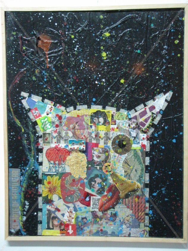 GATO COLLAGE