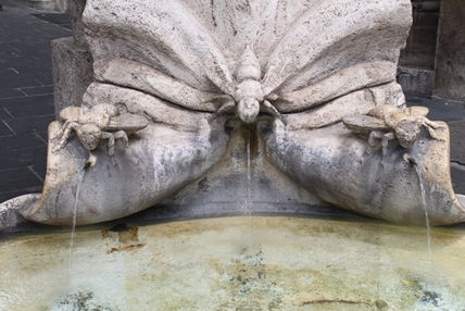 Fuente insectos