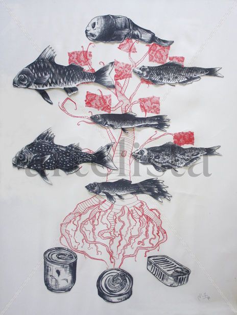 Peces