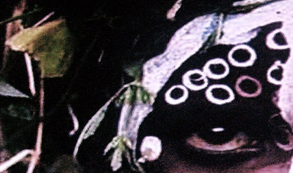 La mirada escondida