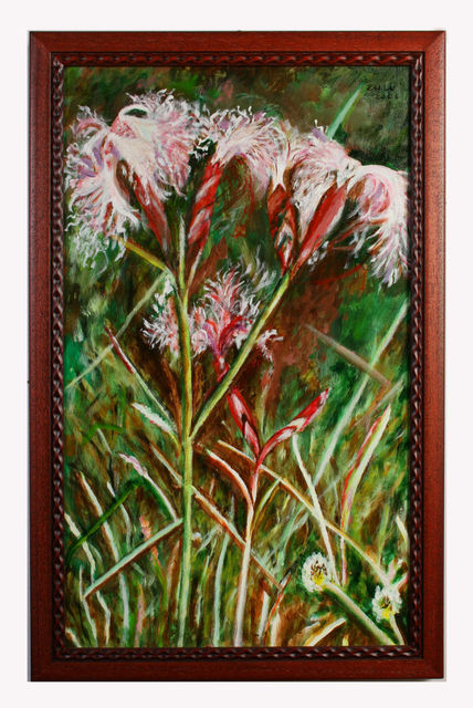 Flores Silvestres II