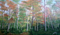 en el bosque