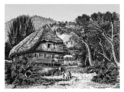 Cabaña en la Selva...