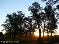 Atardecer en arana