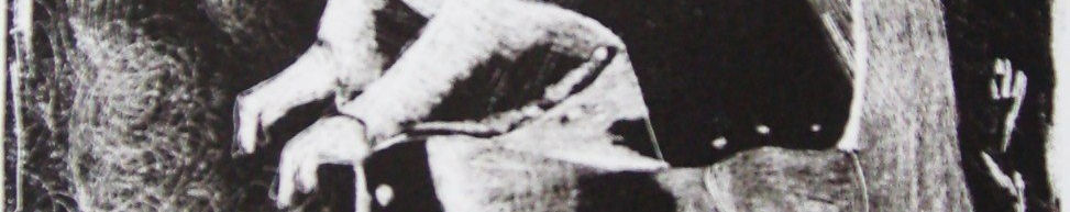 Imagen de portada