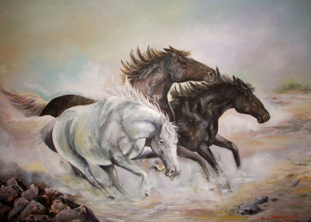 caballos salvajes