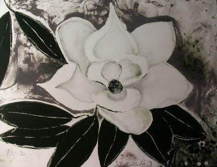 Magnolia