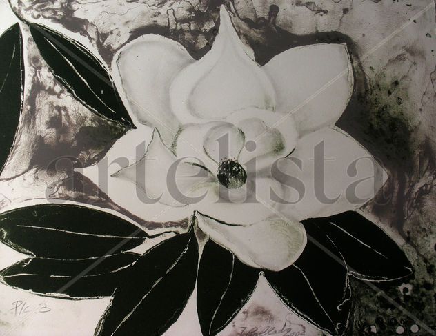 MAGNOLIA