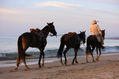 Caballos en la playa