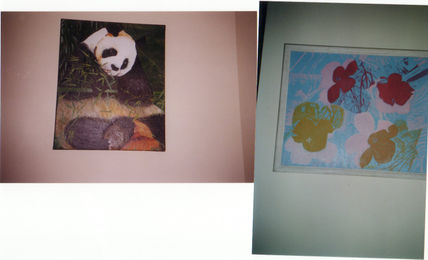 Flowers y oso panda