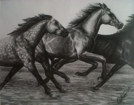 Horses