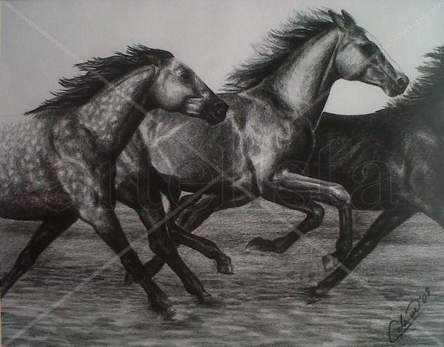 horses