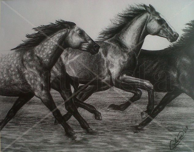 horses Charcoal