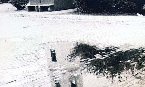 Reflejos