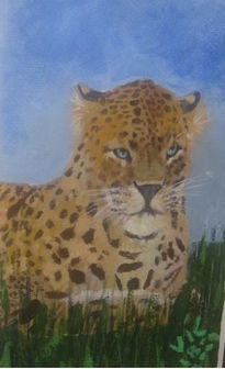 Leopardo en la...