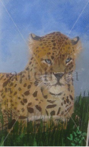 Leopardo en la tranquilidad 