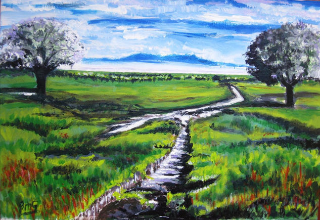 Riachuelo en el prado Acrylic Canvas Landscaping