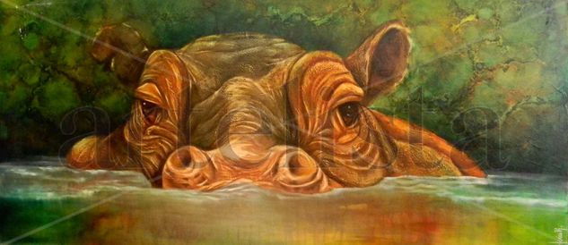 hipopotamo Oil Canvas Animals