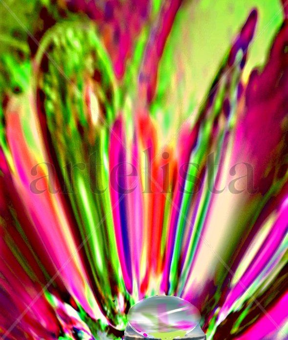 UNA GOTA DE AGUA,  DENTRO  DE   UNA   FLOR