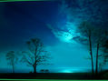 noche de luna