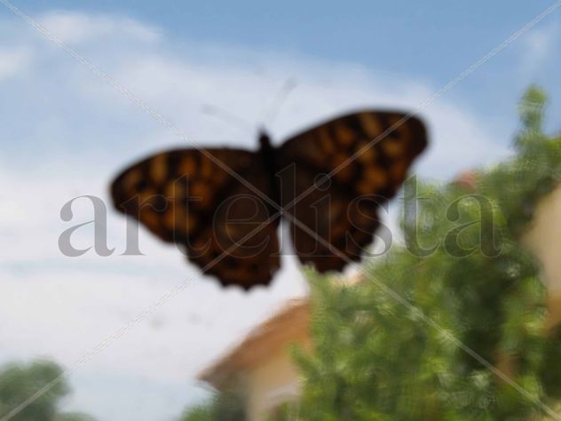 MARIPOSA PLASTIFICADA