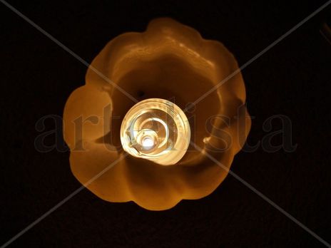 Flor  de  luz