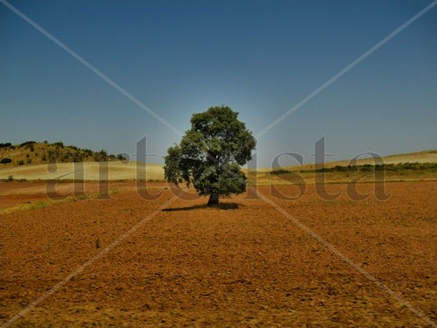 CAMPOS  DE  JAÉN  1 Nature Color (Manual)